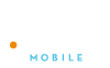 Flash Logo